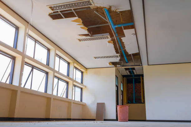 Best Fire Damage Restoration  in Valley Falls, KS
