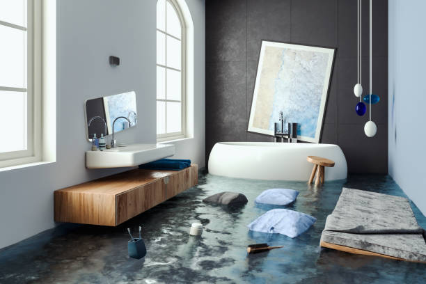 Best Local water damage restoration  in Valley Falls, KS