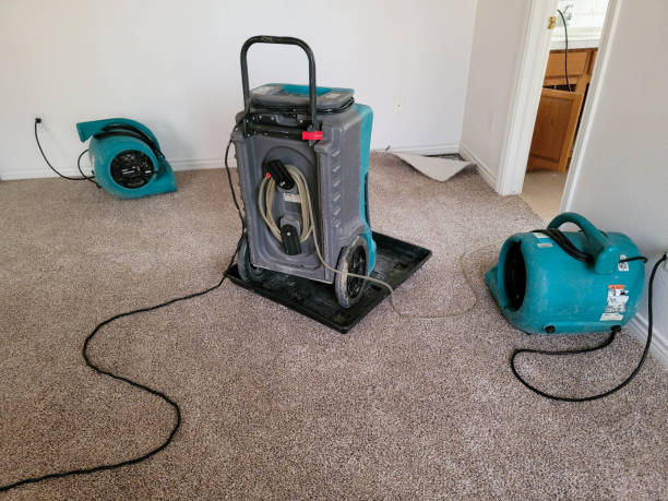 Best Water damage restoration services  in Valley Falls, KS