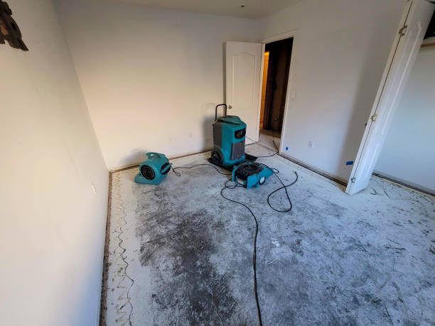 Best Water damage cleanup near me  in Valley Falls, KS
