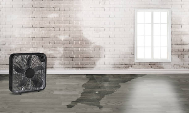 Best Commercial water damage restoration  in Valley Falls, KS
