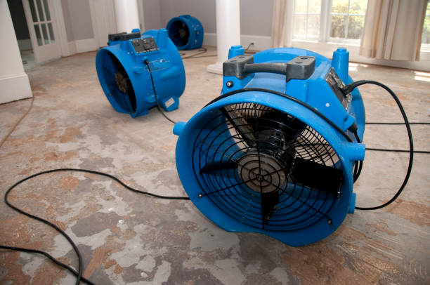 Best Carpet water damage restoration  in Valley Falls, KS