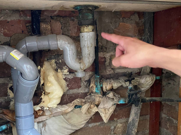 Best Basement water damage restoration  in Valley Falls, KS