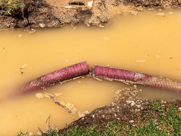 Best 24-hour water damage restoration  in Valley Falls, KS